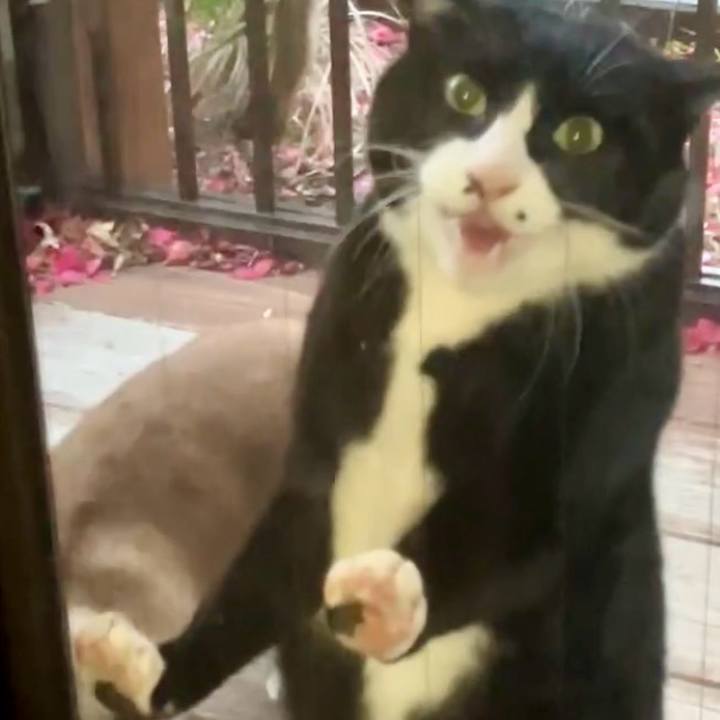 24a33993 fec0 4a14 87a0 161d0352e676 1738056279220