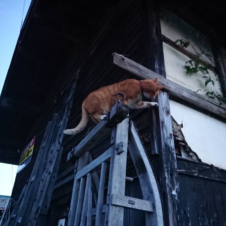 24a35564 0e7e 4096 8b49 bdc4d178609a 1601455839991