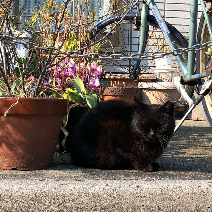 24a3c596 c805 49f1 aad3 50d04f3d33c0 1552764909251