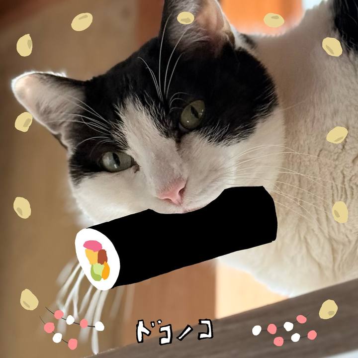 24a3d156 9aaa 4846 ae50 bbb11472f6bd 1741054932315