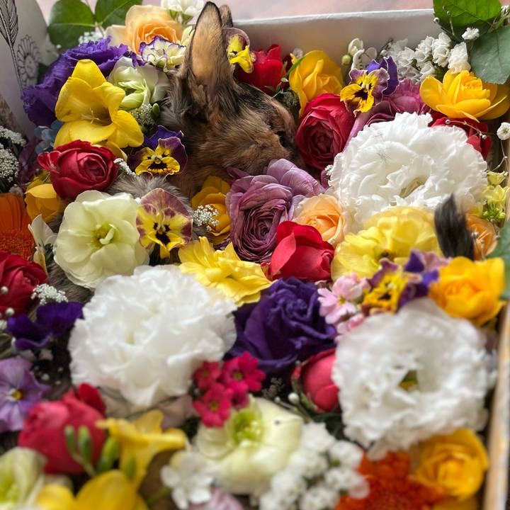 24a3f8fb e634 4c04 af23 a10c8abbdade 1706614380416