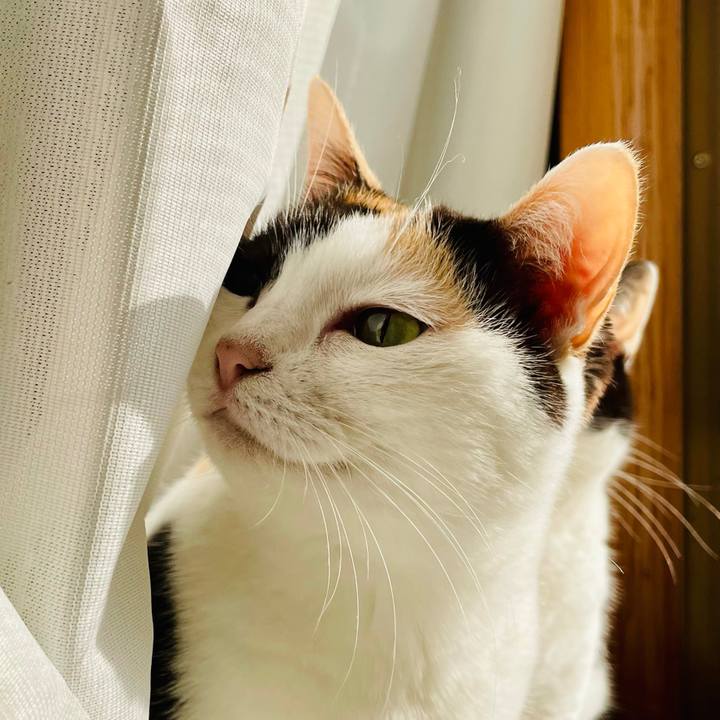 24a3fb84 8e93 4585 932d 3b0a9e3a6032 1615256731211