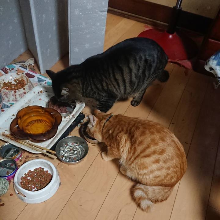 24a44a32 e091 4407 842b e095bc1b0e1b 1643536382622