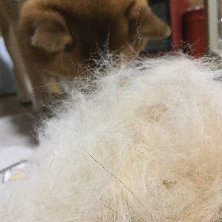 24a484e4 c060 441d 8183 dfd48bd55b5f 1609218673639