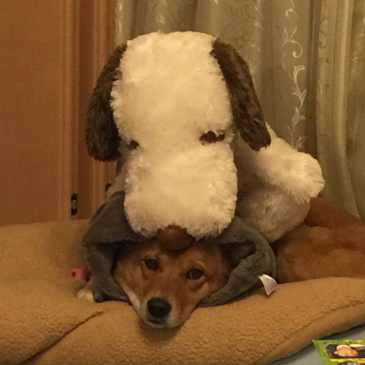 24a4a2f7 cff3 46b1 a10b 1126bdafb711 1518610100021