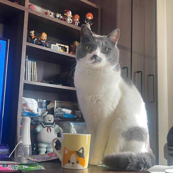 24a4dc21 39a9 4344 a058 c96452f0b3a0 1705639935827