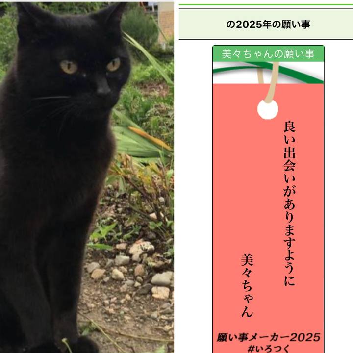 24a4e794 7581 4dd8 9049 137b030cf1e8 1751709656606