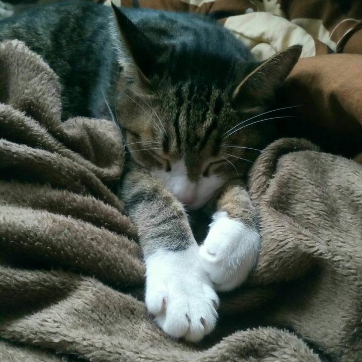 24a4f1b4 5cb2 453e b4a5 7dd0738ebacd 1550543850162