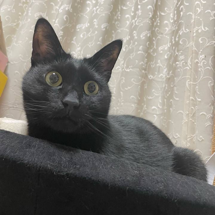 24a50522 1c3a 494f 9f0f 4243e0a30f1f 1649555419580