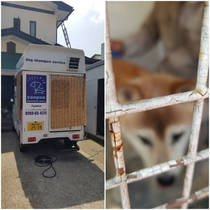 24a53afa c259 4701 8af2 341c797f0111 1751848754245