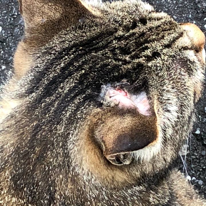 24a55c12 7d5d 47a5 a46a 6c20b116cbbb 1528510033969