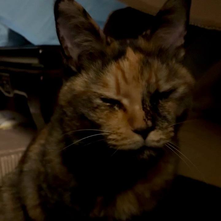 24a57643 7c65 4b5e a45d 70ea55a5f96f 1761337750105