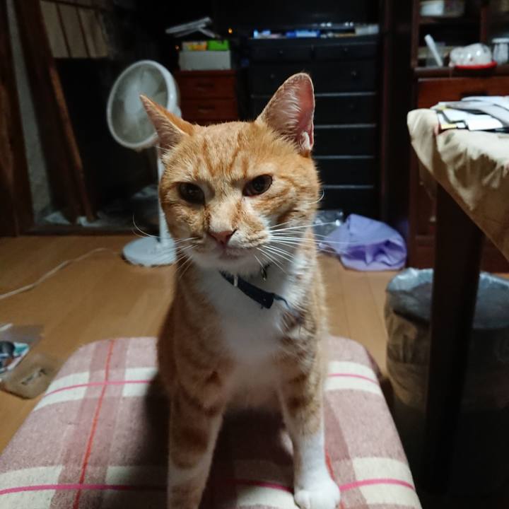 24a59642 d655 4fb7 a2a4 f49ece7bcfb0 1600461135684