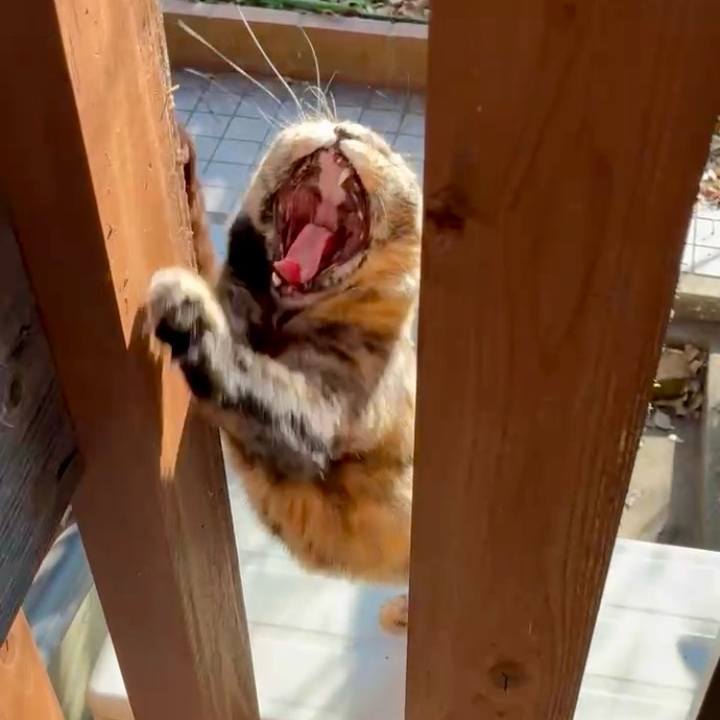 24a5a634 50e1 42b0 b5aa 8a11533d77aa 1765158849450