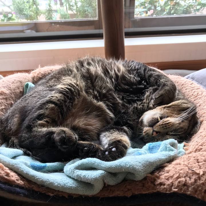 24a5a6fd 3618 4a83 8079 abf169ff4ac8 1659751767678