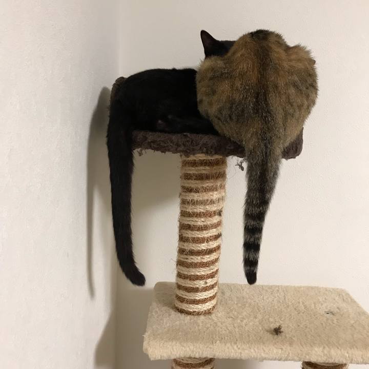 24a5b689 7c4a 4da1 a4ce 17e0f21d1b12 1555935100306