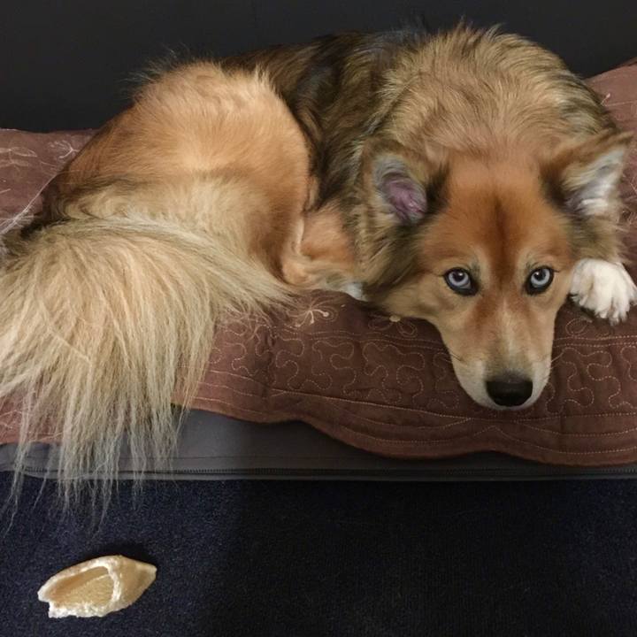 24a5c3f4 5c40 4846 aafb 034d1998010f 1509799247656