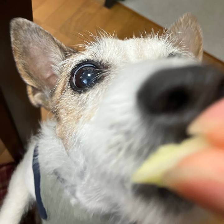 24a5f792 d7e8 4dfd aa81 f27faf5d668a 1708039741739