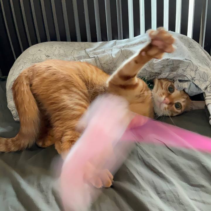 24a613dd 14cb 4dac b304 e729801cebbb 1628847702369