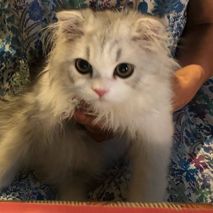 24a621c7 9156 449c 95e1 5ebec493110d 1597373290609