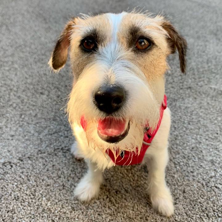 24a65890 fb98 4ddc a3d5 75bc8bbe7dd0 1656545055187