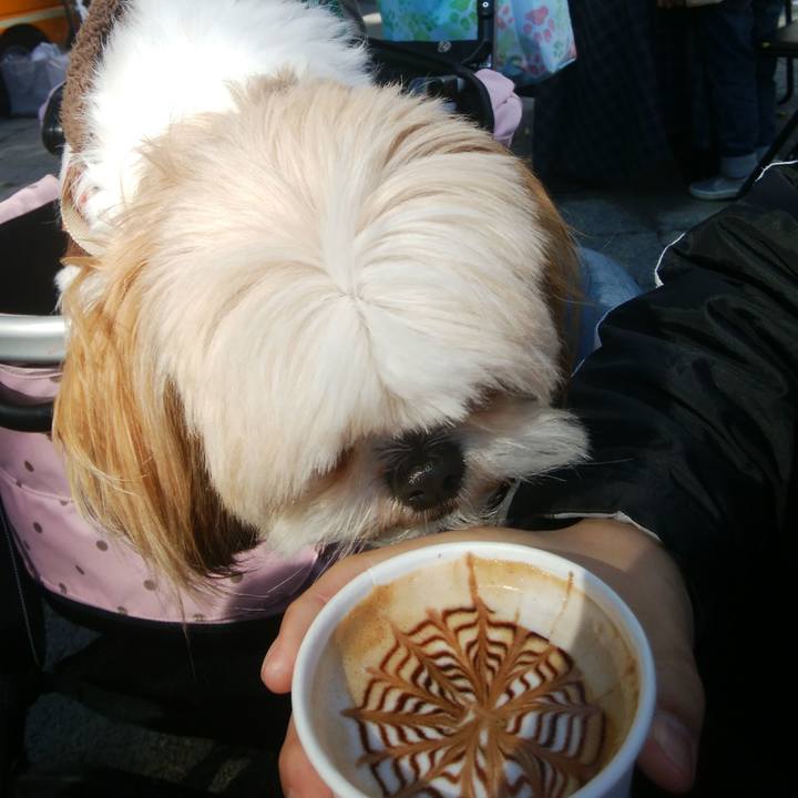 24a6605b eb1a 4c7f b7f7 cbf5633d01c4 1518327831123