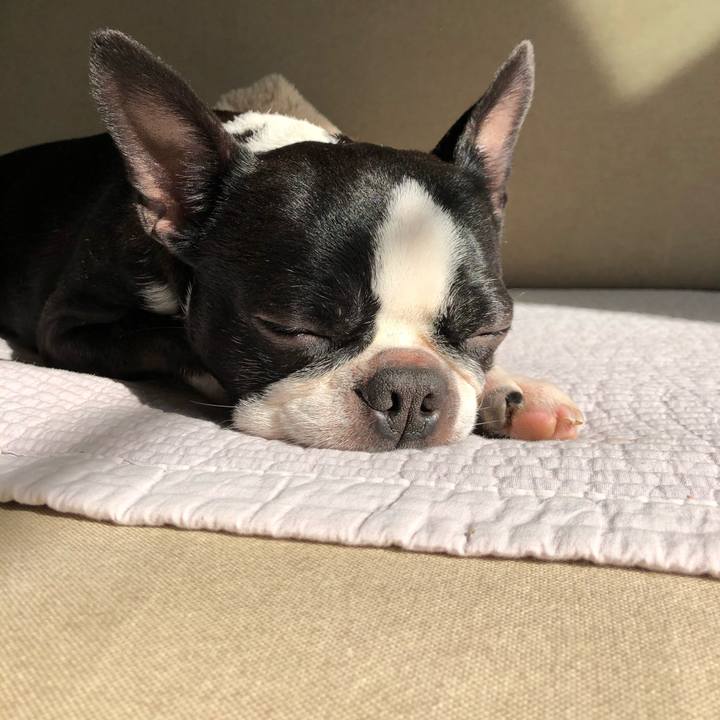 24a67147 b820 40f2 950b 0751ea613bfd 1614817181307