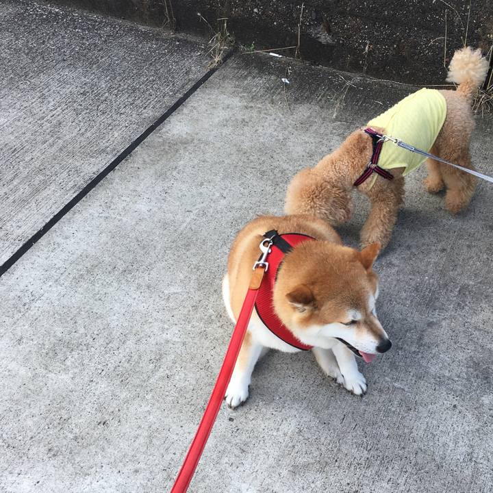 24a674fb 2503 465e ba9b 933d2d4c5aff 1596498148293