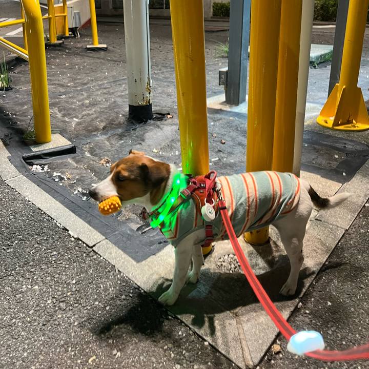 24a69c0e 062b 441c bfdd b3286d464b25 1760774817591