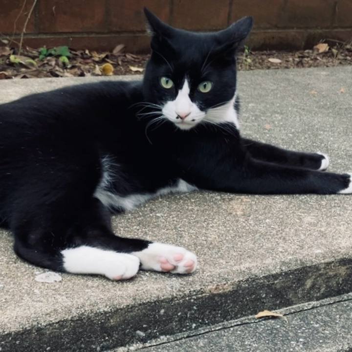 24a6d768 d685 42f2 a98b 74799287698f 1728890465058