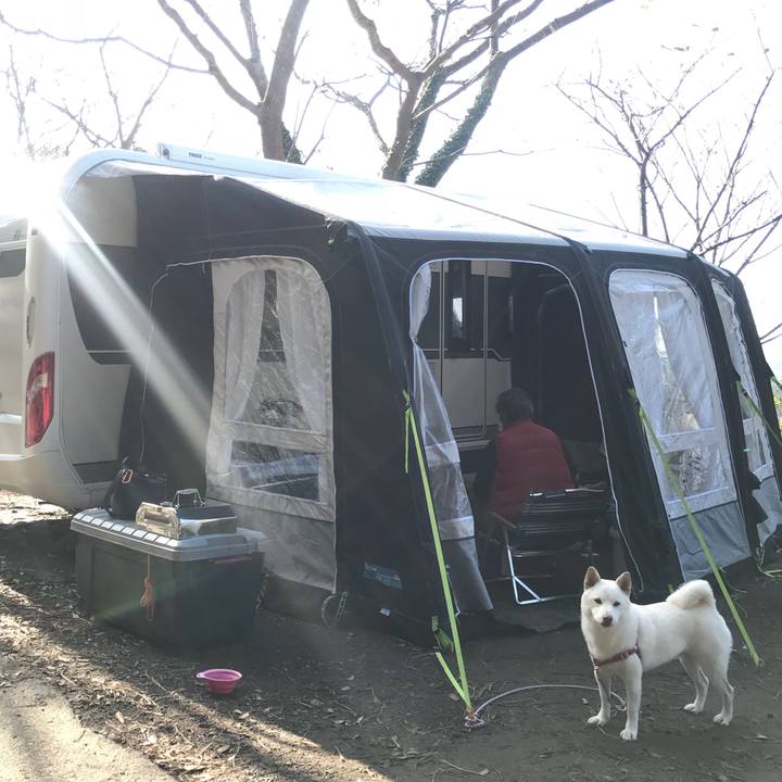 24a70395 5f8d 4da0 b45a fed905d78d8f 1540683172610