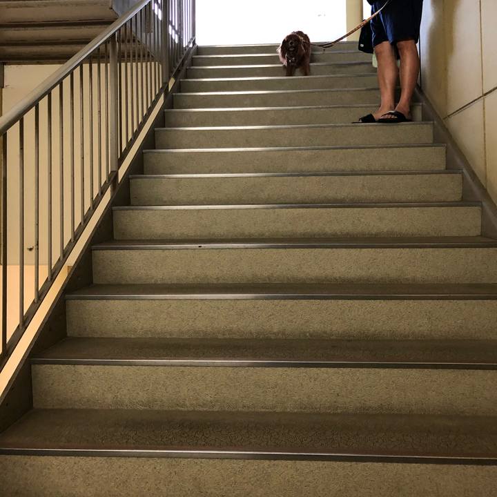 24a7746c f0b0 4ff0 acfe 42ab5d88ea66 1621042913039