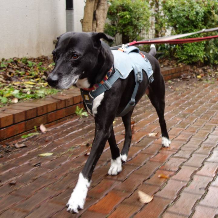 24a78d32 def9 4f34 90ec e1400d5228b4 1732147706285