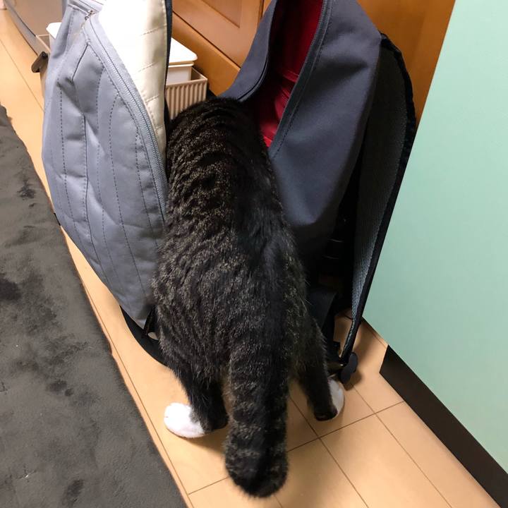 24a7a756 72a1 4469 9377 b6e8f4499eab 1519937522828