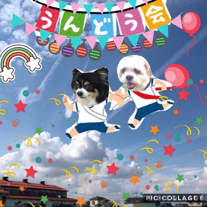 24a7c161 39f9 41c6 9e02 a73fdd606108 1540011483616