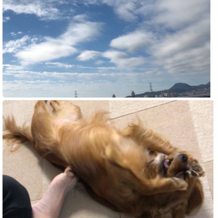 24a7d32d 4eb8 44f1 9aa9 795ebef82ccb 1541318483448