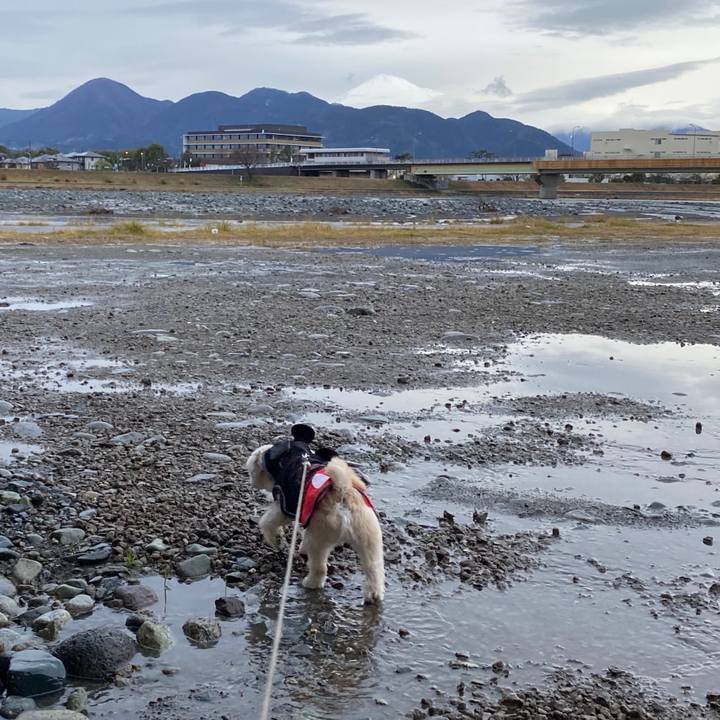 24a7ddc9 e520 4a56 8aa8 1968bae614b1 1583664085906