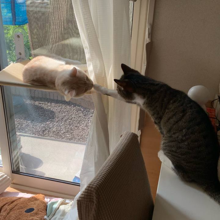 24a7fa92 ecb3 49f4 a126 f176fedd87be 1721861809150