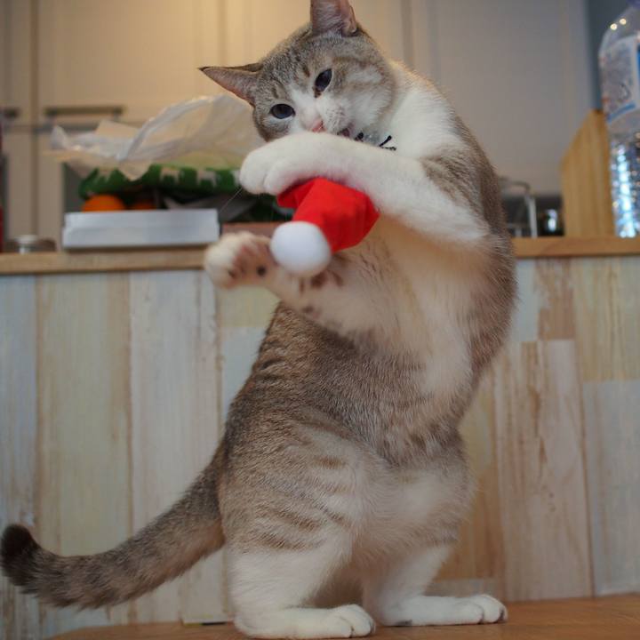 24a7fe27 cf43 4b2c 8622 311f0b72192d 1545612240926