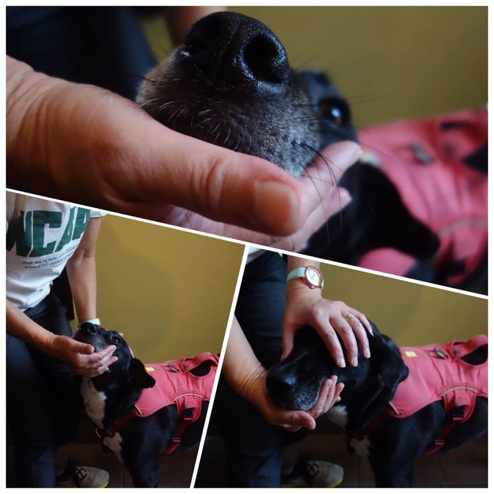 24a81fcb a5f4 4873 b523 dc11a1e6e094 1693010160131