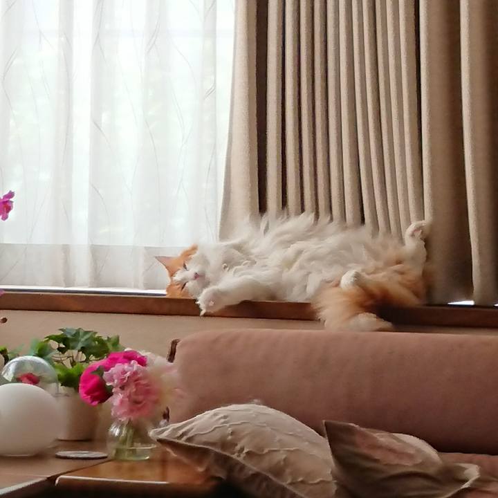 24a82c69 abe4 4827 9e0e 827cd4523ab3 1528424819978