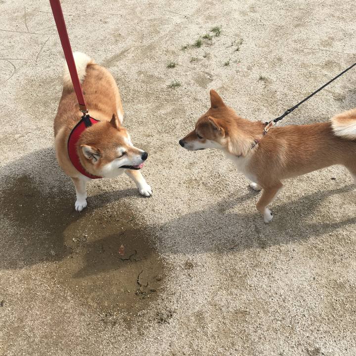 24a84216 d666 4d6f bab0 1a60698c720d 1596095287104