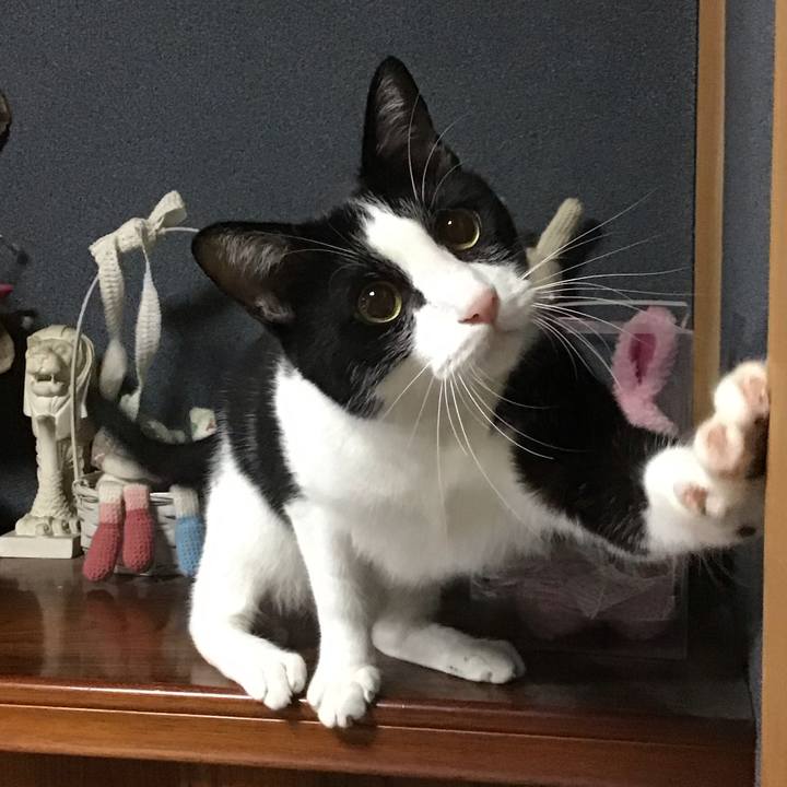 24a8ae1b 3b29 4e60 ac9f 4dadbe1ca20b 1694173813931