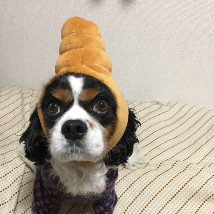 24a925d3 79a4 47fb 9822 24fbe7786627 1511698587097