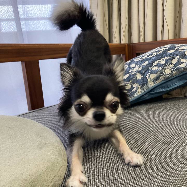 24a92657 e23e 4507 9bb7 18c97be99ca7 1631939741387