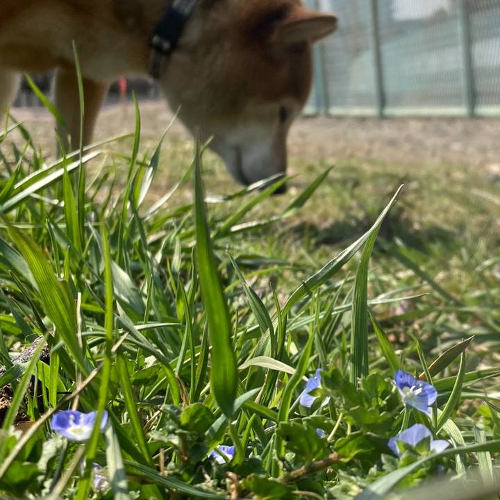 24a9271c ed49 4451 9507 692f31ef6d8b 1646971998653