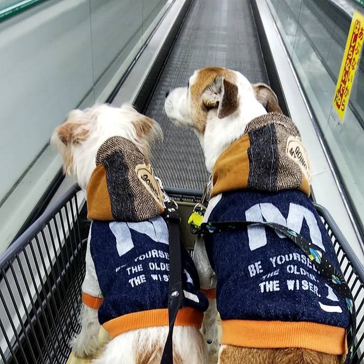 24a9438f 7b51 435c 9ebf 36c7f8245093 1547421386257