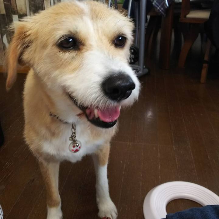 24a99535 641c 4a9a 9c53 fbd5a7965220 1527318675434