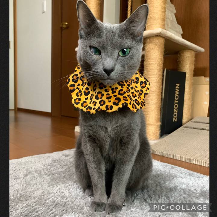 24a9bc1c 06a5 4f73 86f4 8c4bbeb6d127 1648959588887