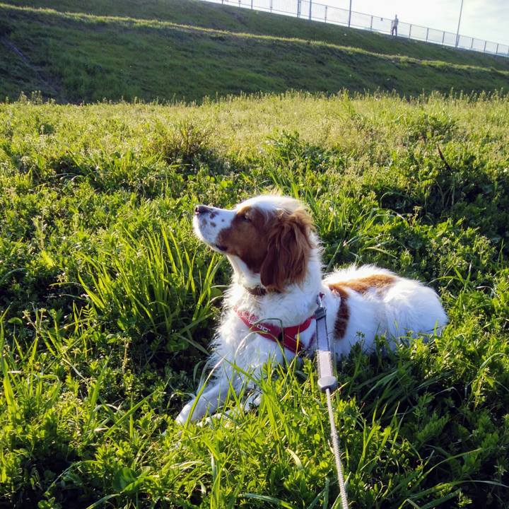 24a9ea69 77e1 4e76 802d deb4f9ca5bea 1554119598887